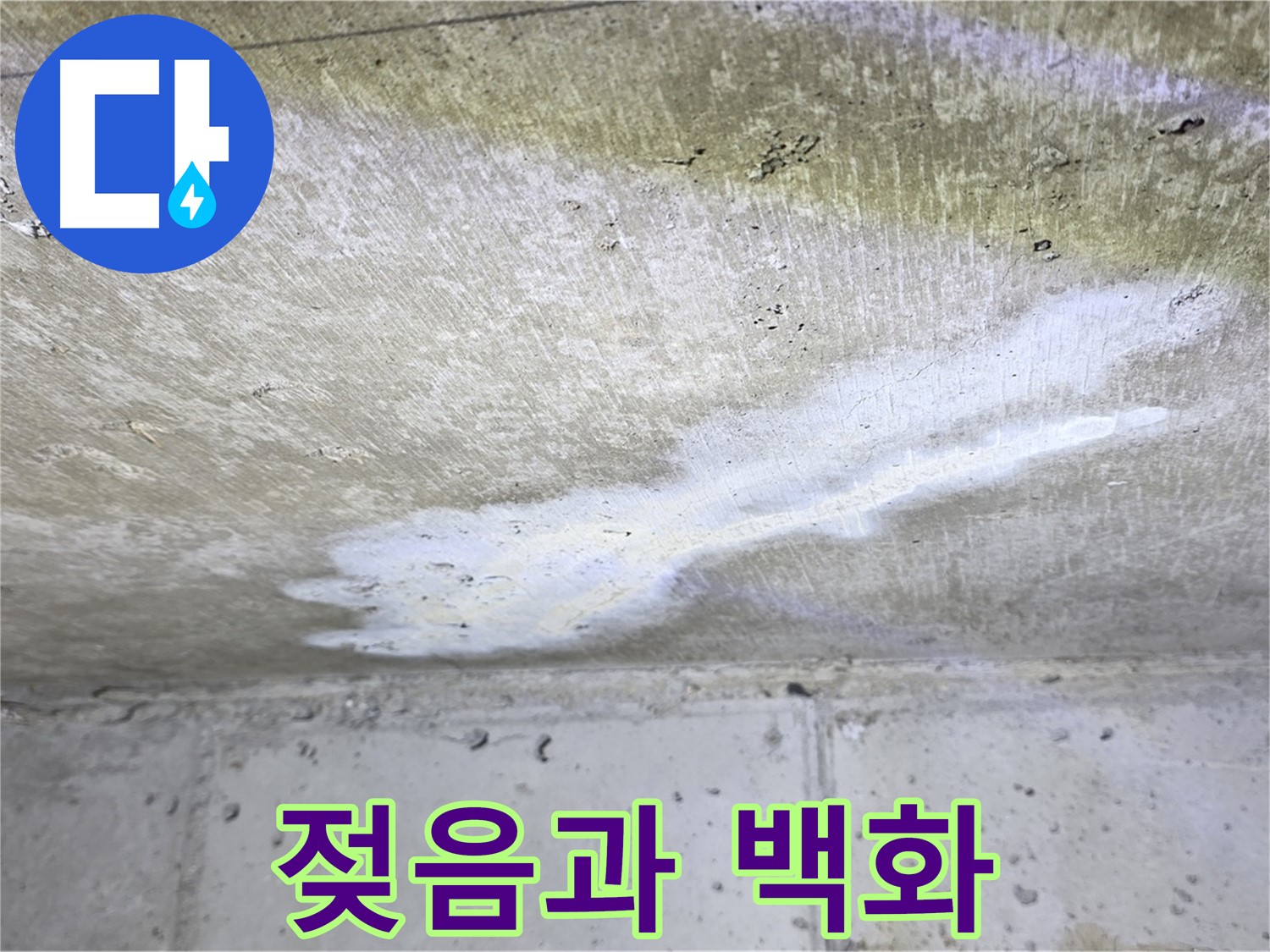 현대5차 211동 - 천장 젖음과 백화 동시 발생 - 복합적인 누수