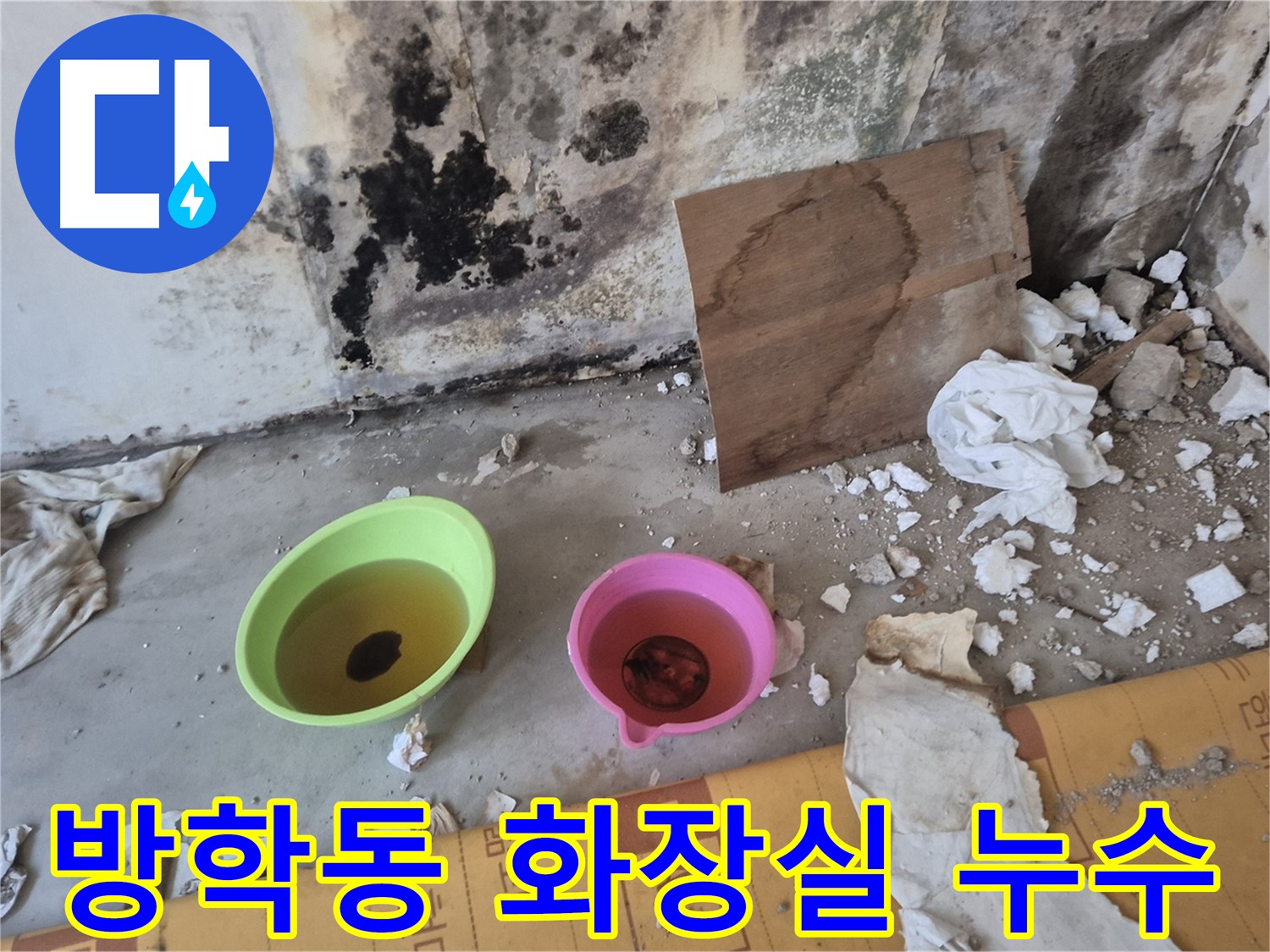 도봉구 방학동 숭미가든빌라 인근 누수 현장 - 화장실 벽에 곰팡이가 심하게 피어있고, 물이 흥건하게 고여있는 모습입니다.