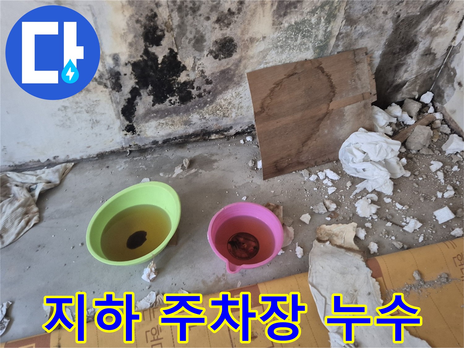 도봉구 숭미가든빌라 지하 주차장 누수 현장 - 지하 주차장 천장에서 물이 떨어지고 있고, 바닥에 물이 고여있는 모습입니다. 건물 안전에 심각한 위협이 될 수 있습니다.