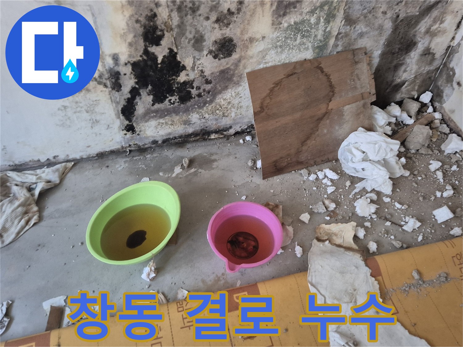 도봉구 창동 덕릉로54가길 누수 현장 - 벽에 곰팡이가 심하게 피어있고 물방울이 맺혀있는 모습 - 건강에 매우 해로운 결로와 곰팡이 누수입니다.