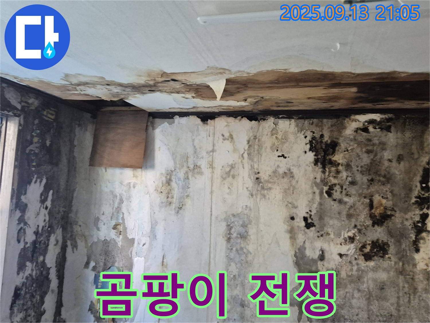 도봉구 창동 주택 - 곰팡이와의 전쟁 최전선! 심각한 곰팡이 오염 상태를 보여주는 이미지입니다.
