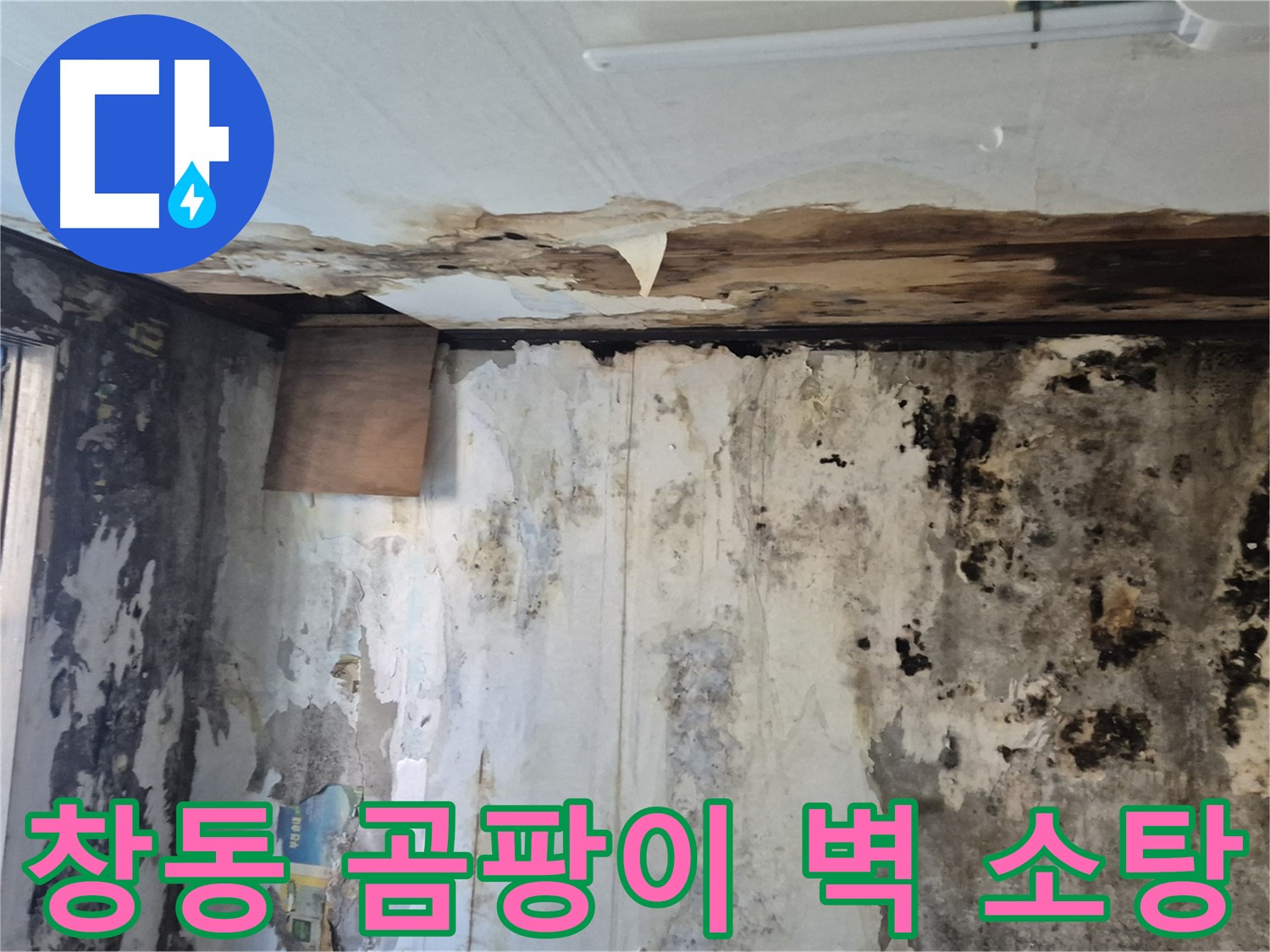 도봉구 창동 주택의 곰팡이 득실거리는 벽면 - 누수 해결과 함께 곰팡이를 소탕하는 과정을 담았습니다.