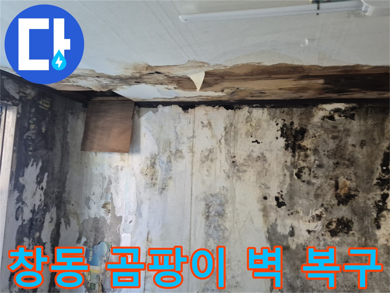 도봉구 창동 주택의 곰팡이 벽 복구 비법 - 누수 원인 진단부터 완벽한 시공까지 전문가의 노하우를 담았습니다.