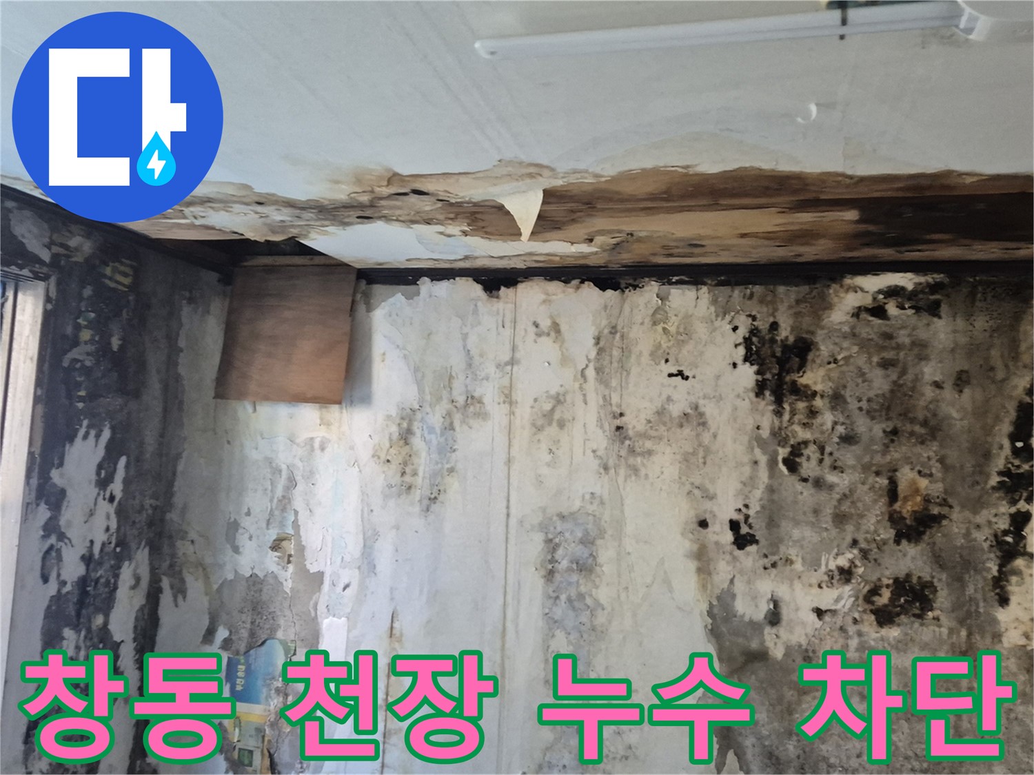 도봉구 창동 주택의 천장 누수 차단 과정 - 누수 원인 진단부터 완벽한 시공까지 꼼꼼하게 담았습니다.
