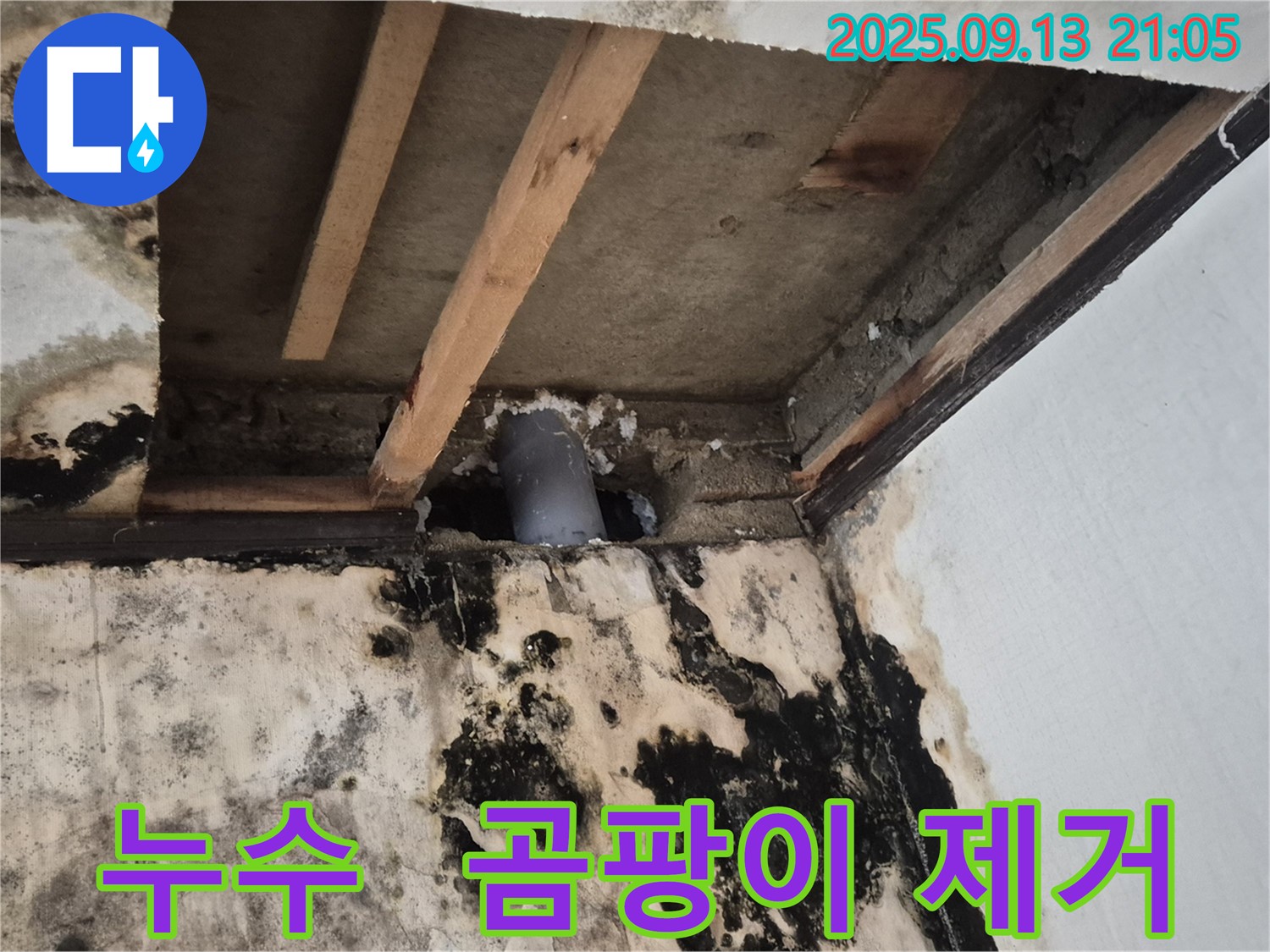 천장 누수로 인한 곰팡이 제거 및 누수 해결 - 도봉구 누수탐지 전문