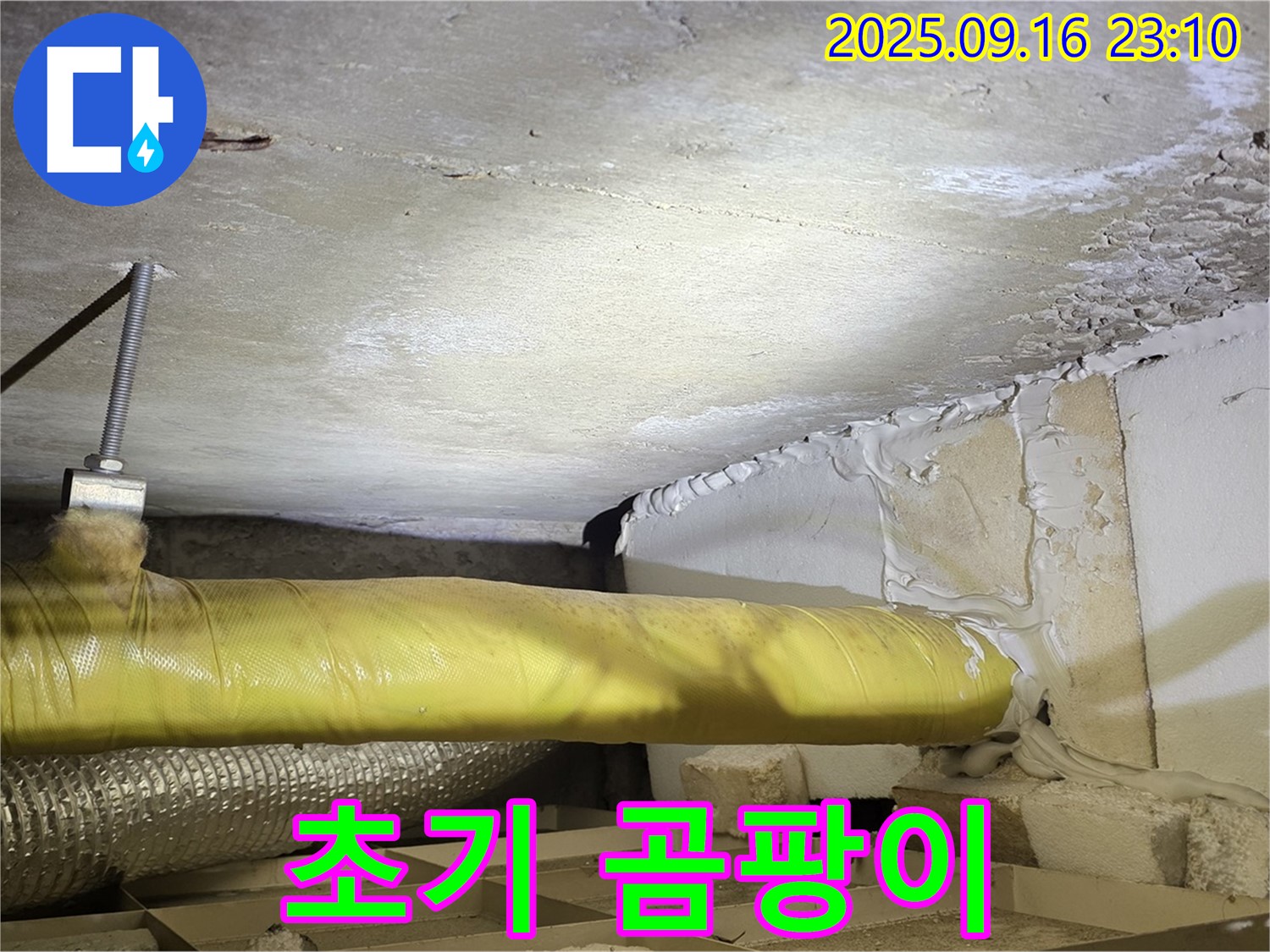 곰팡이 발생 초기 단계 - 천장에 곰팡이가 막 피기 시작한 모습