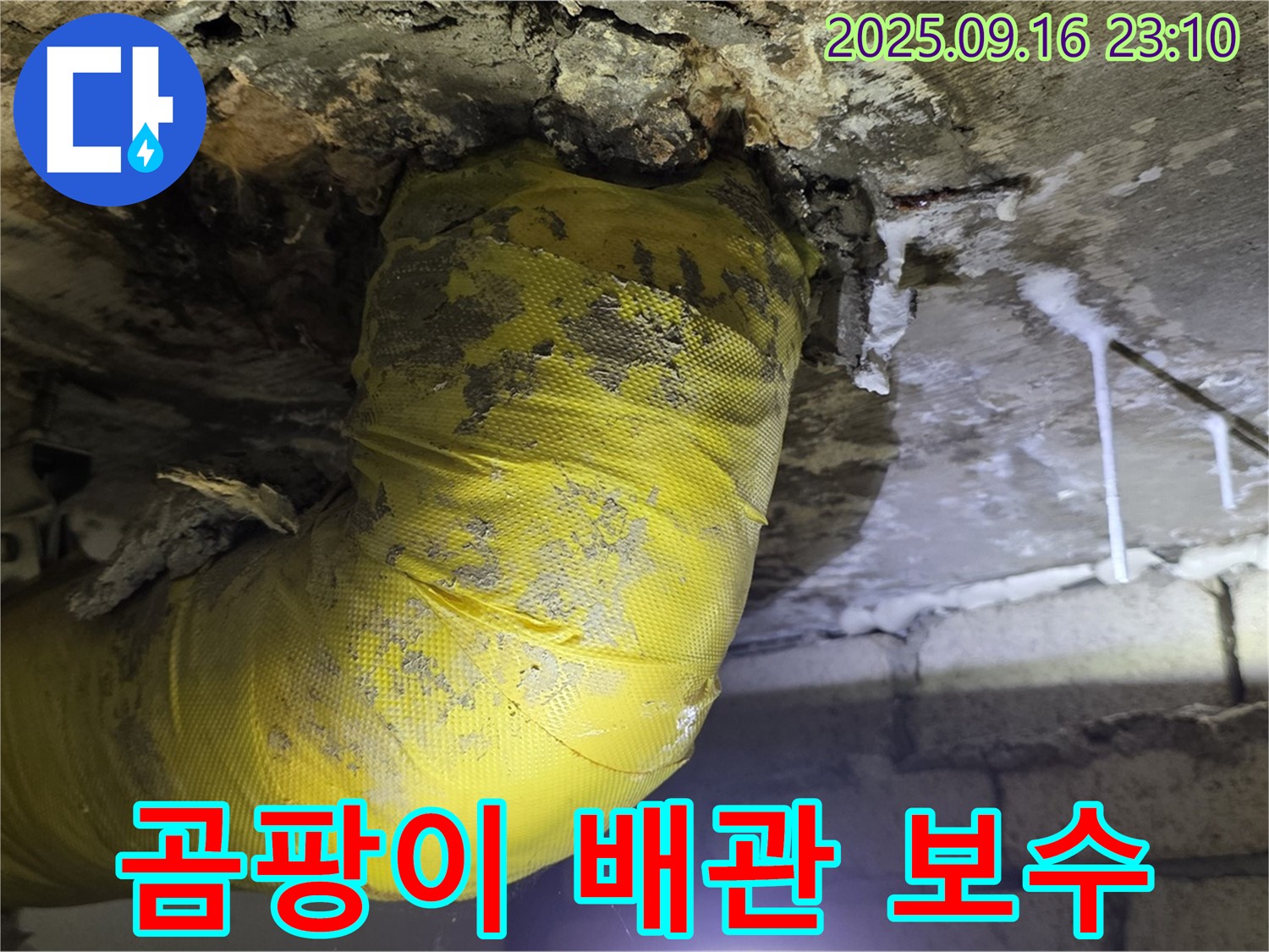 곰팡이가 핀 하수 배관 보수 작업 - 꼼꼼한 보수로 누수를 막습니다.