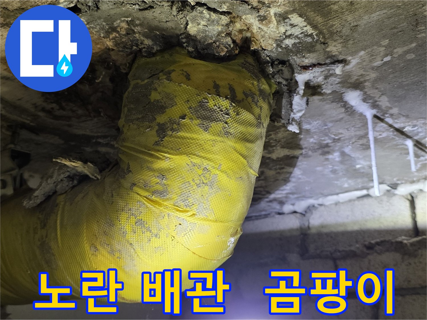 노란 배관의 습격, 곰팡이와 악취 - 신사동 새절역 인근 누수 긴급 해결