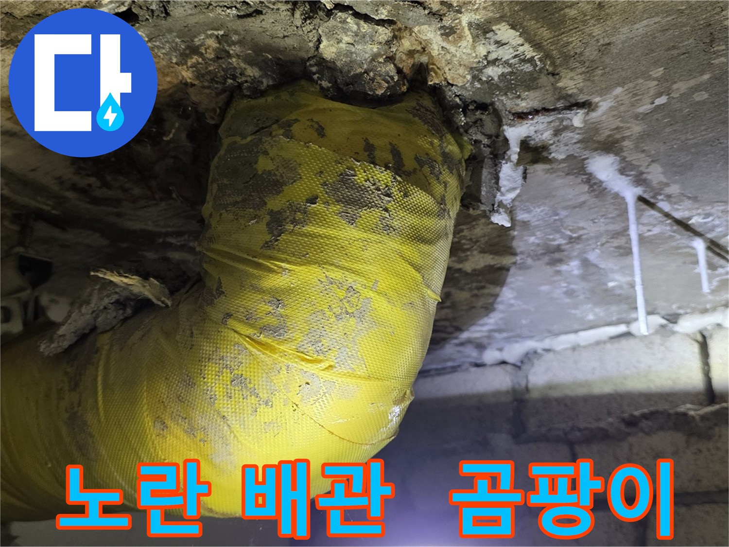 노란 배관의 역습, 곰팡이와 악취 - 신사동 새절역 인근 누수 24시간 긴급 해결