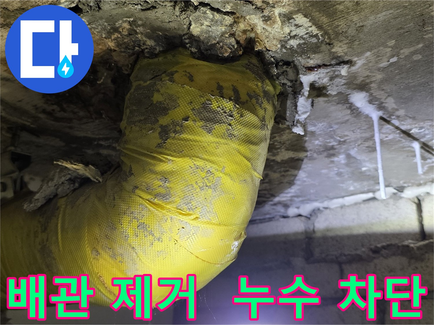 누수 완벽 차단 - 은평구 신사동 누수, 낡은 노란 배관 OUT, 곰팡이 완전 박멸