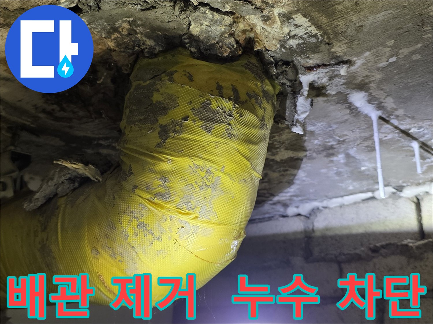 누수 완벽 차단 - 은평구 신사동 누수, 낡은 노란 배관 OUT, 곰팡이 완전 소탕