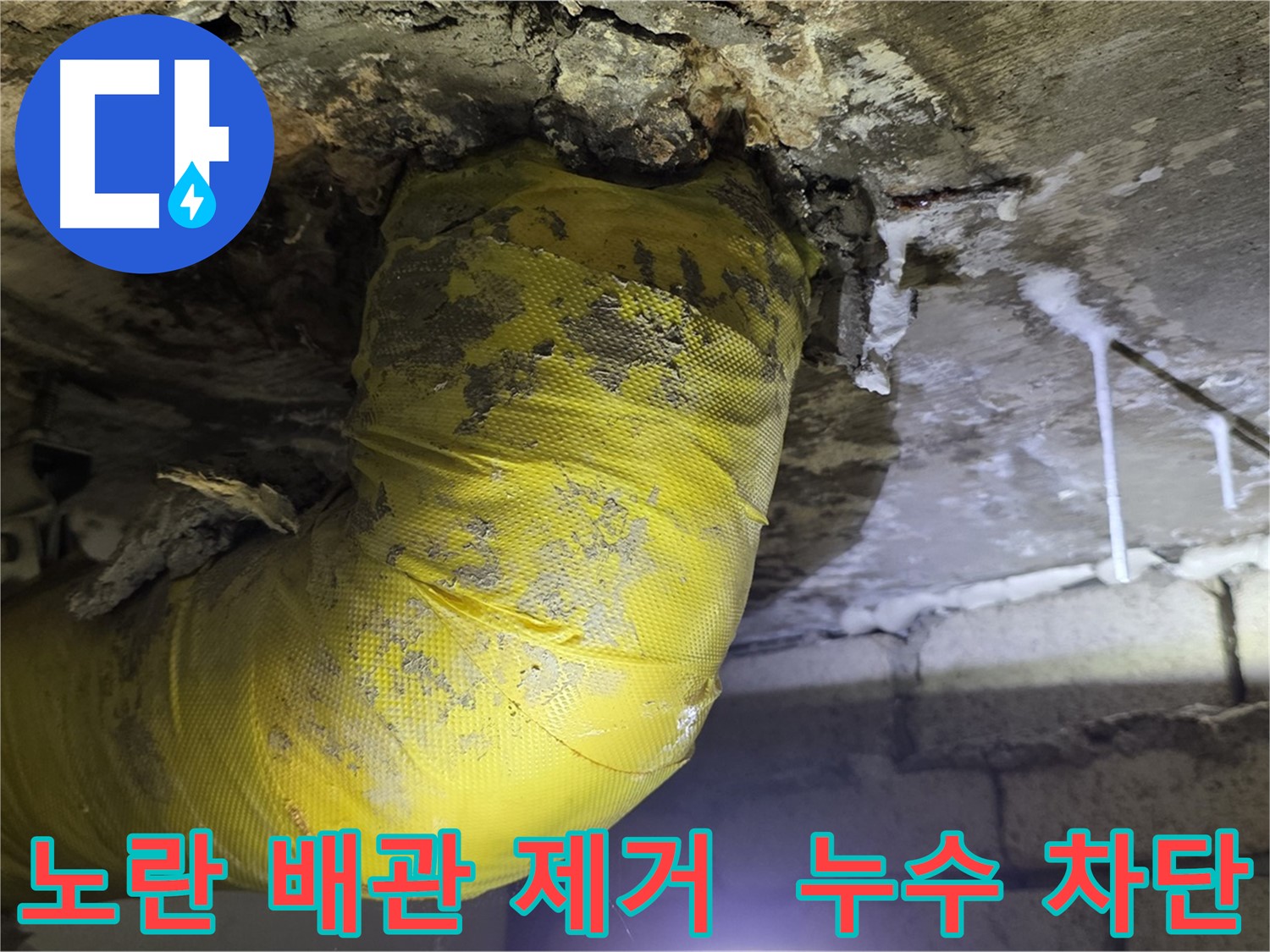 누수 완벽 차단 - 은평구 신사동 누수, 낡은 노란 배관 제거, 곰팡이 완전 정복