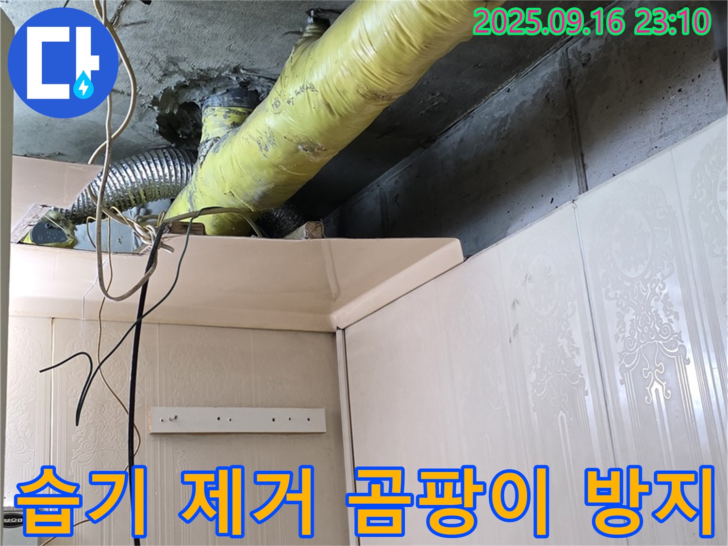 배관 주변 습기 제거 후 곰팡이 방지 작업 - 은평구 신사동 새절역 현대아파트 누수