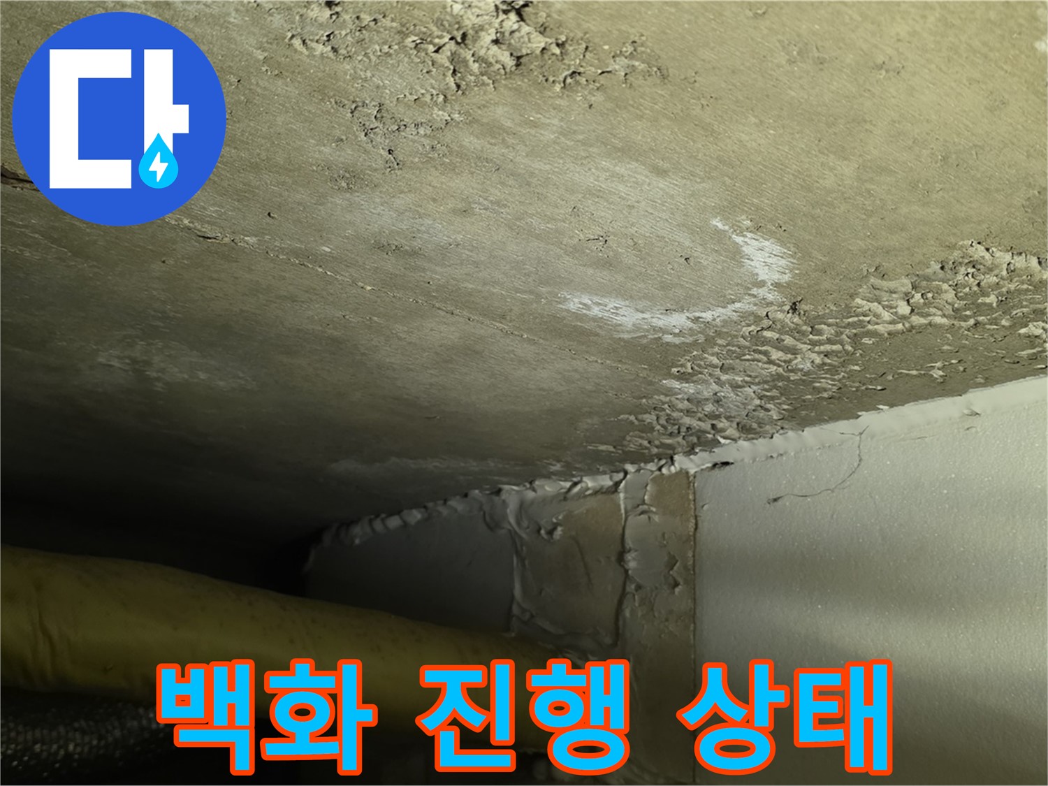 백화 진행 상태 - 누수 범위 확인 - 정밀 진단 필요