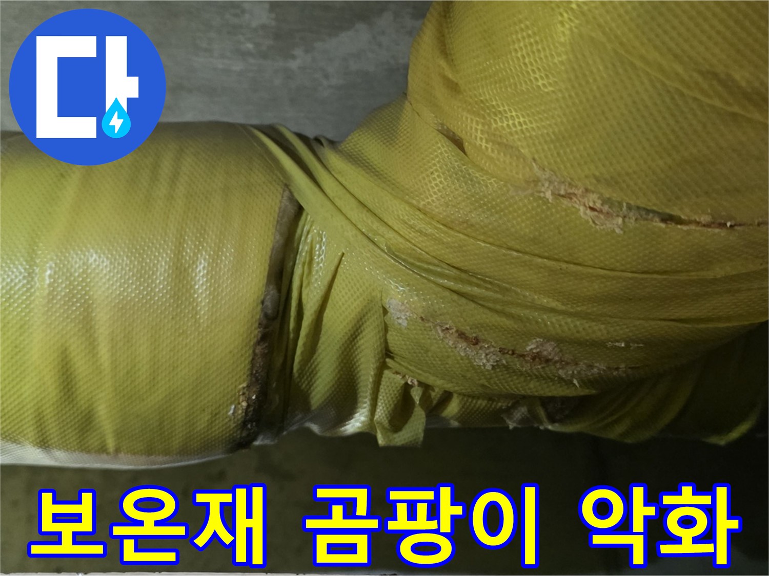 보온재 속 곰팡이 - 실내 공기 질 악화, 건강 문제 유발, 전문적인 케어가 필요합니다.
