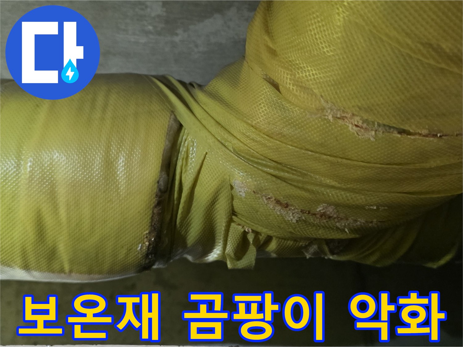 보온재 속 곰팡이 - 심각한 실내 공기 질 악화, 건강 문제 유발, 전문적인 케어가 필요합니다.