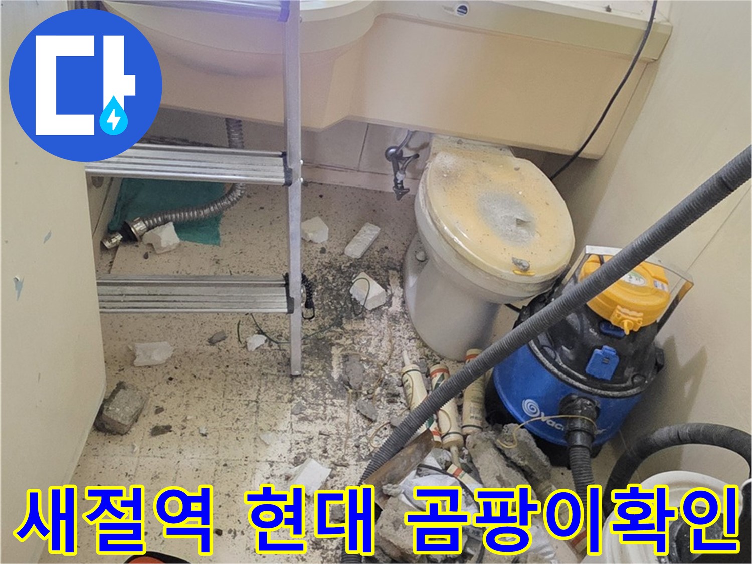 새절역 현대아파트 곰팡이 확인 - 꼼꼼하게 확인