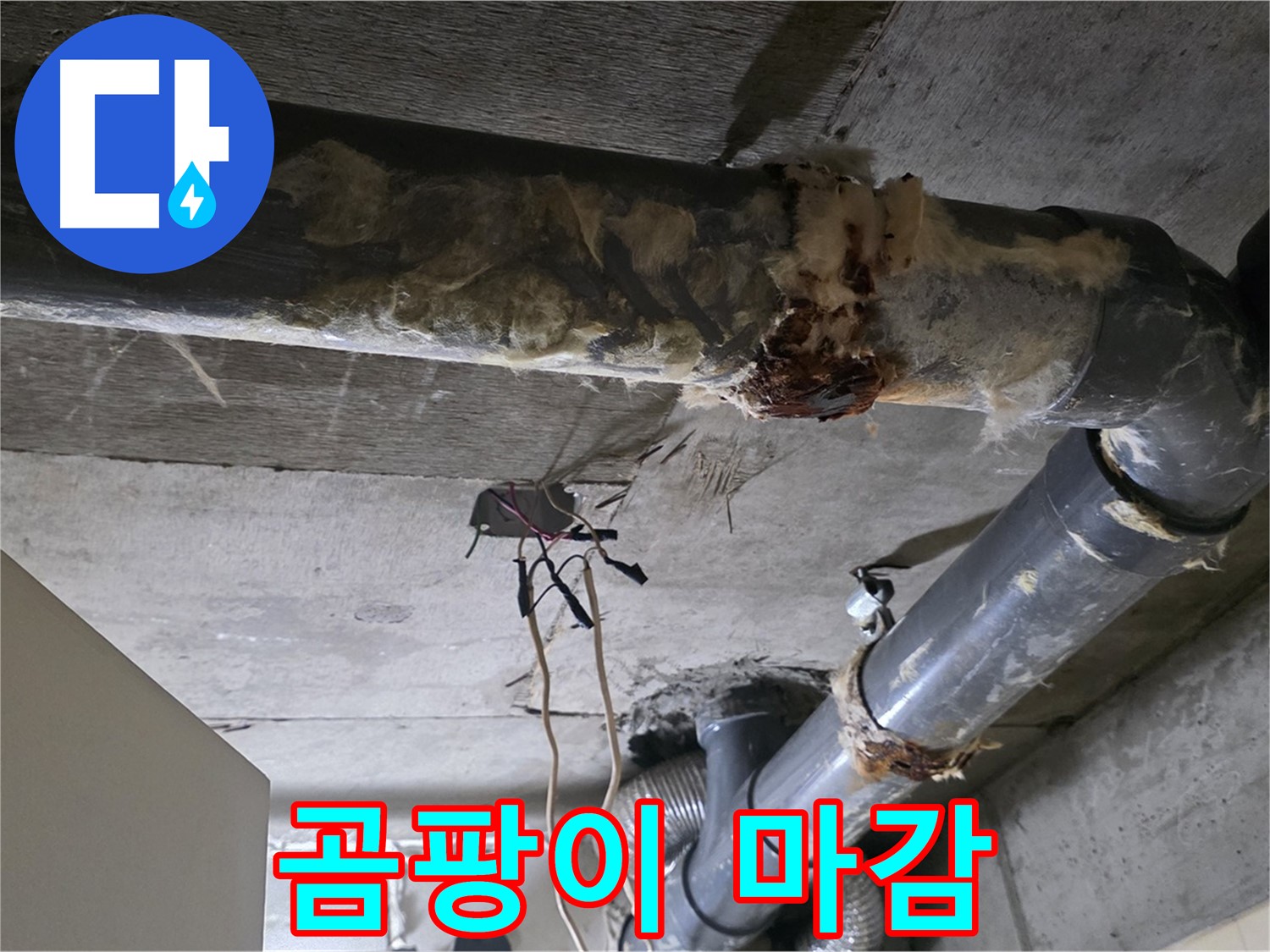 새절역 현대아파트 누수 - 곰팡이 덮친 낡은 마감의 오수 배관 연결 부위 누수