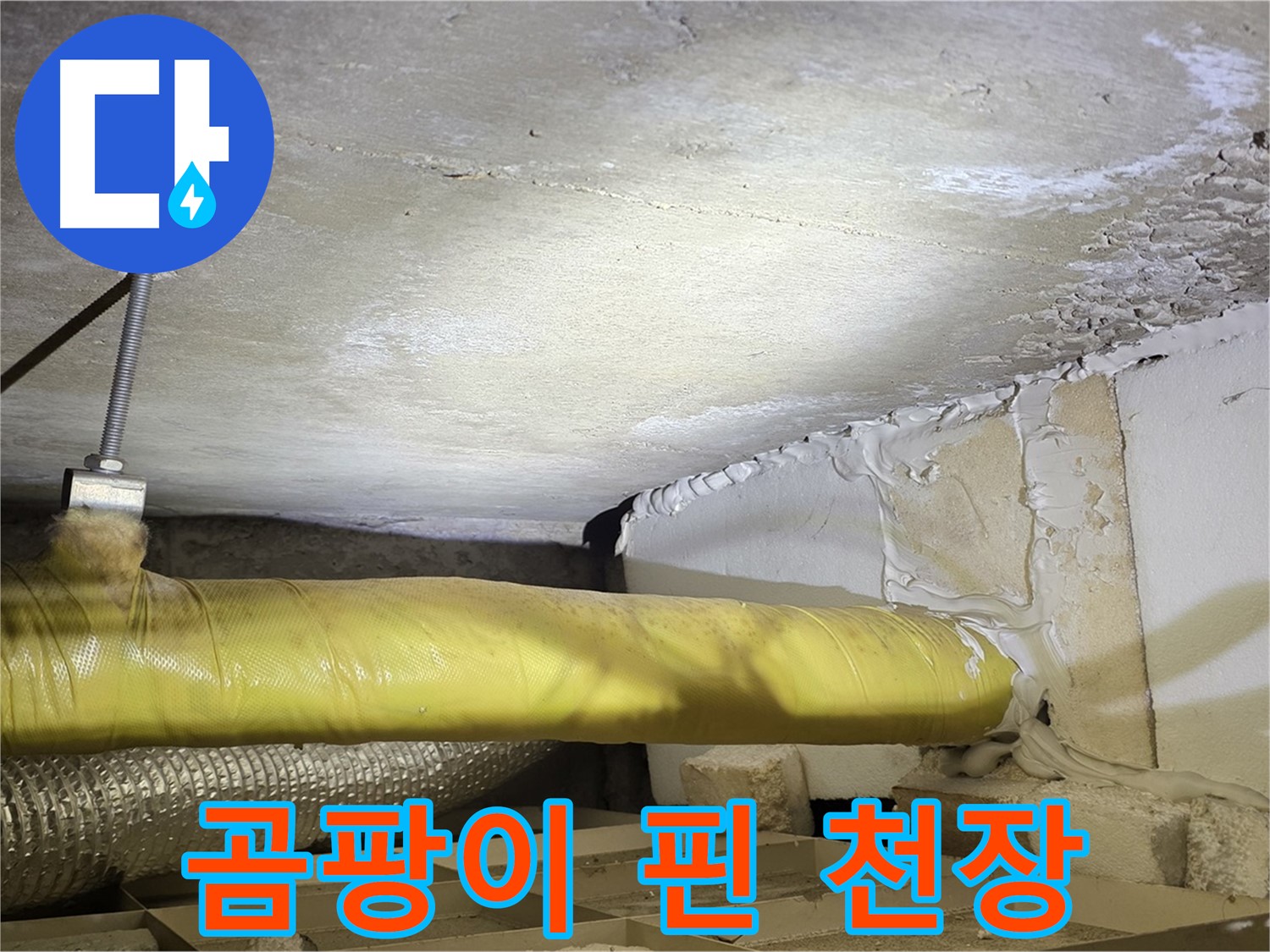 새절역 현대아파트 누수 - 곰팡이로 오염된 천장 - 누수 피해의 심각성을 보여줍니다.