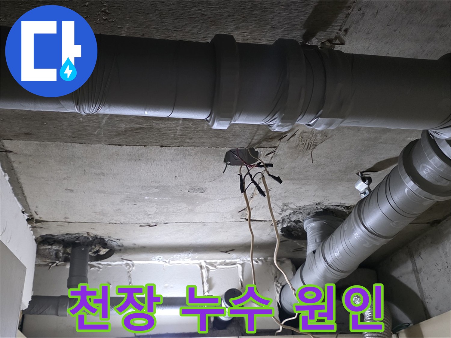 새절역 현대아파트 누수 - 천장 누수 원인을 꼼꼼하게 진단하는 모습입니다.