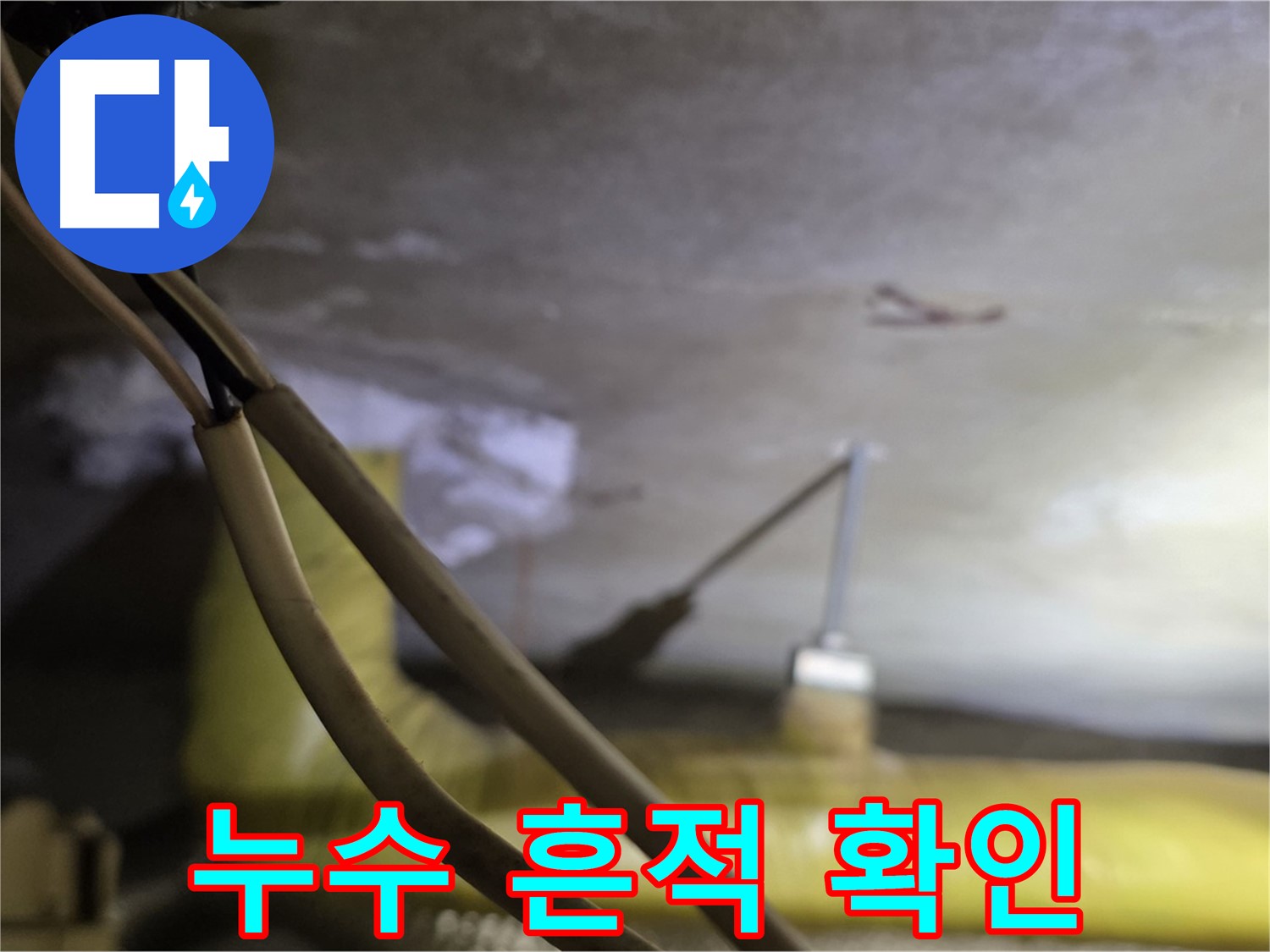 새절역 현대아파트 누수 - 천장 누수 흔적을 꼼꼼하게 확인 중