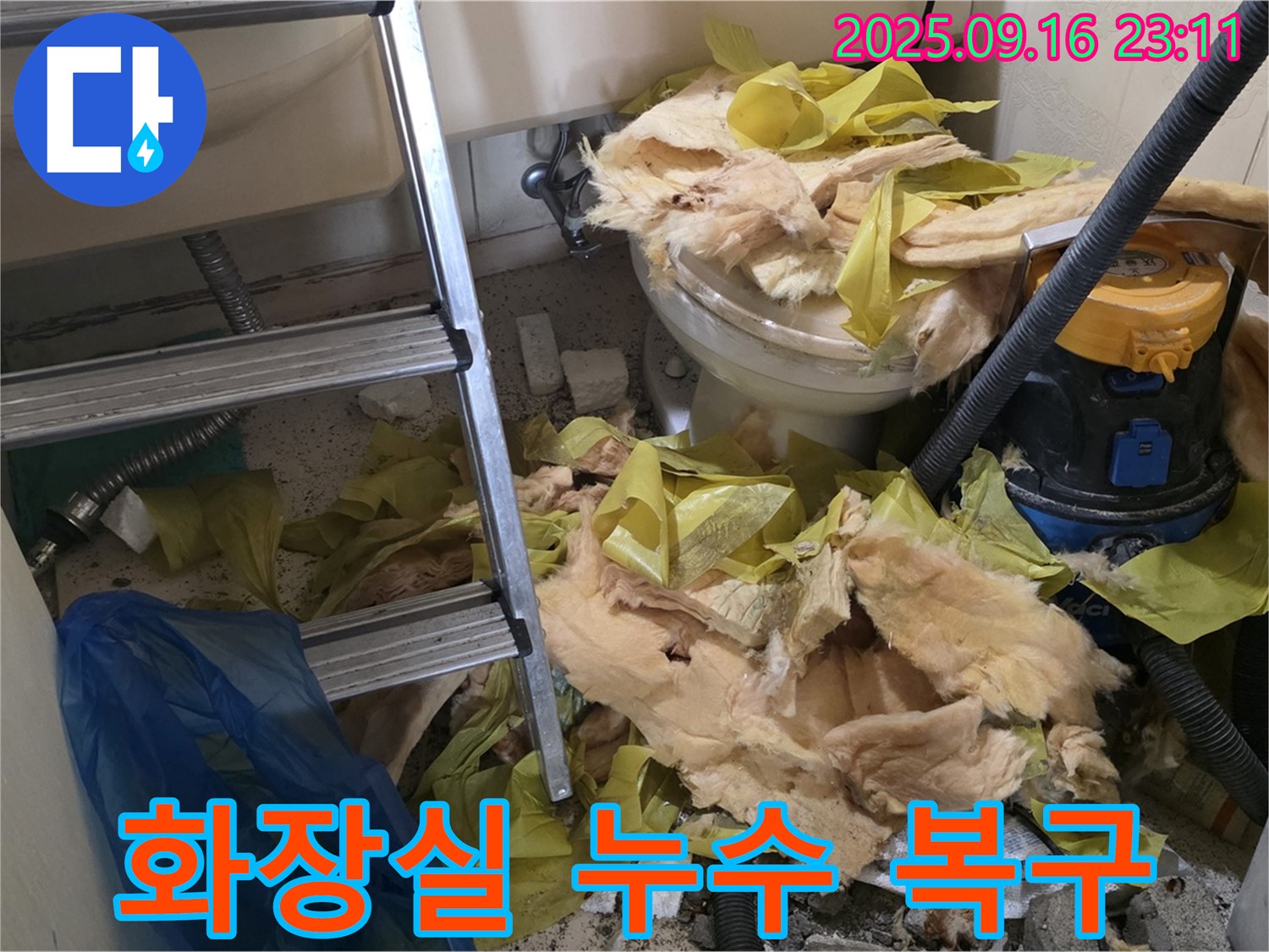 서울 은평구 신사동 새절역 현대아파트 화장실 누수 - 긴급 복구 작전 개시