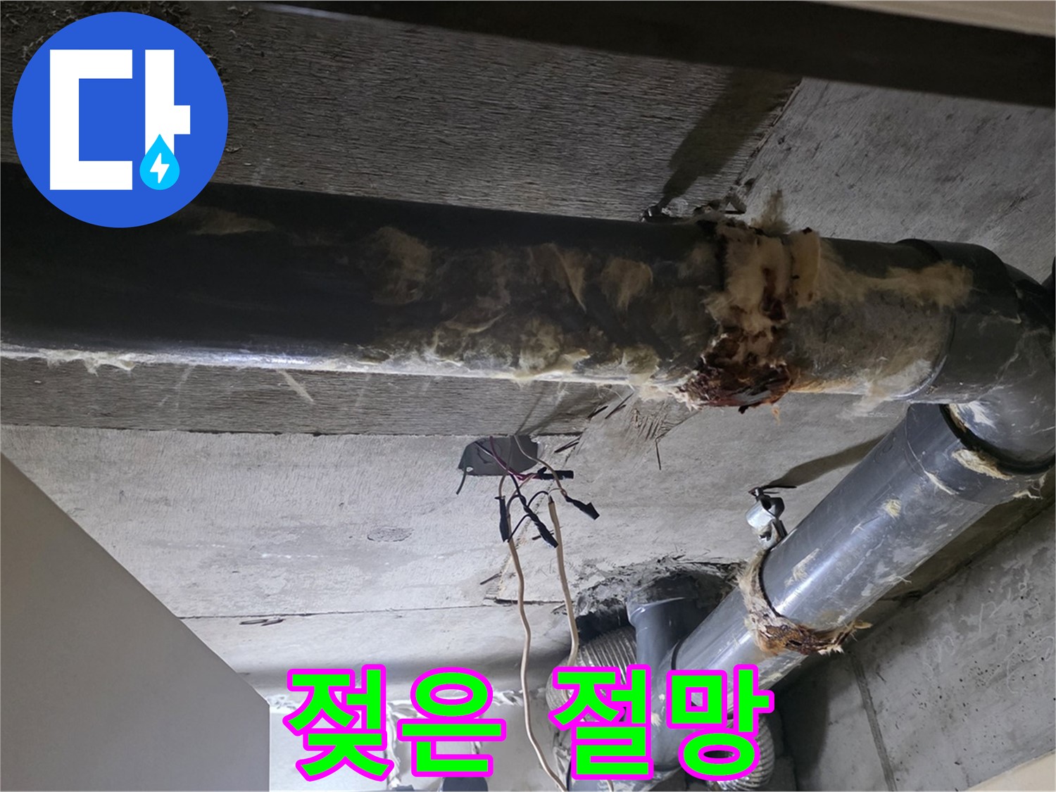 신사동 12번지 - 젖어버린 보온재, 배관의 절망적인 상황을 보여줍니다