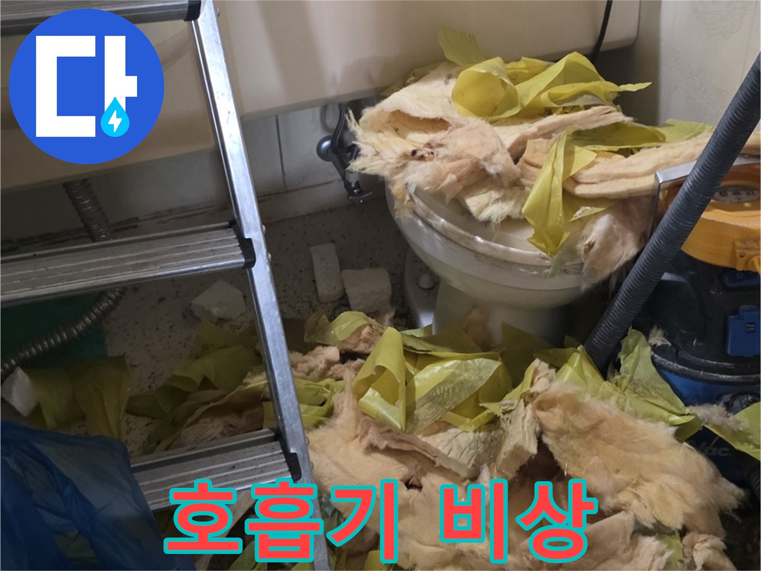 신사동 누수 현장 - 곰팡이 포자 가득한 낡은 보온재 - 호흡기 건강 위협
