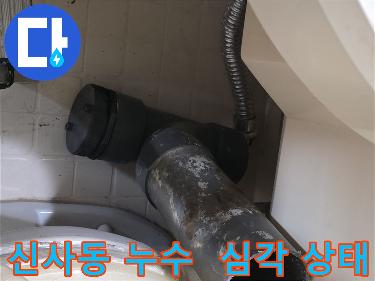 신사동 변기 오수관 누수 - 낡은 배관의 심각한 상태 공개