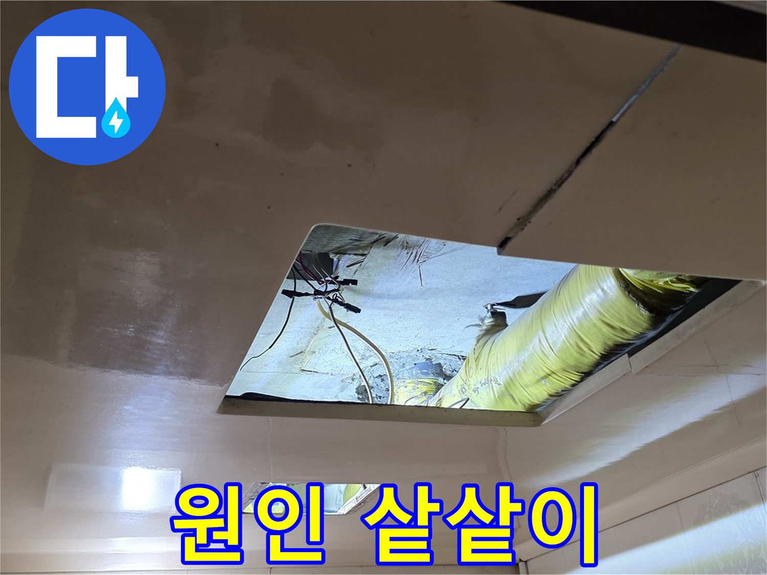 신사동 새절역 현대아파트 천장 - 꼼꼼하게 누수 원인을 샅샅이 파헤치는 모습