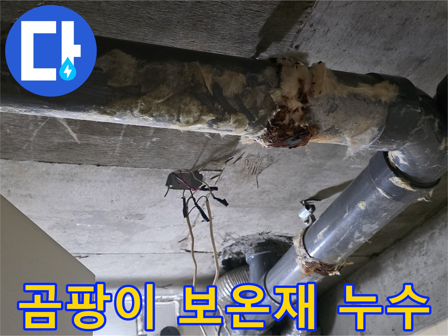 신사동 새절역현대아파트 누수 - 곰팡이 핀 낡은 오수 배관 보온재