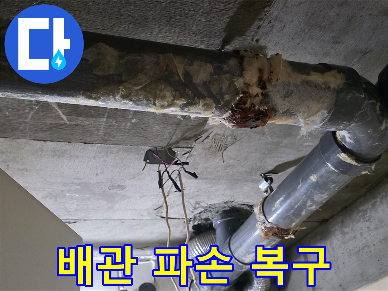 신사동 새절역현대아파트 누수 - 오수 배관 파손 빠른 복구