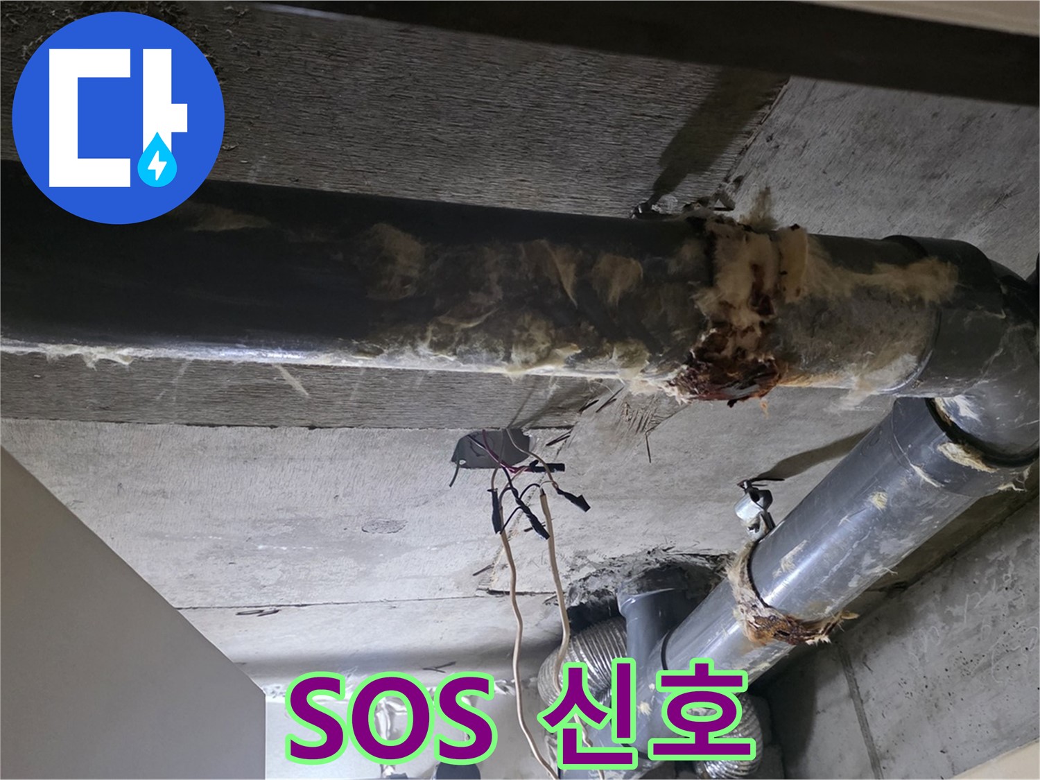 신사동/새절역 - 낡은 보온재 속에 숨겨진 배관의 SOS, 놓치지 않았습니다