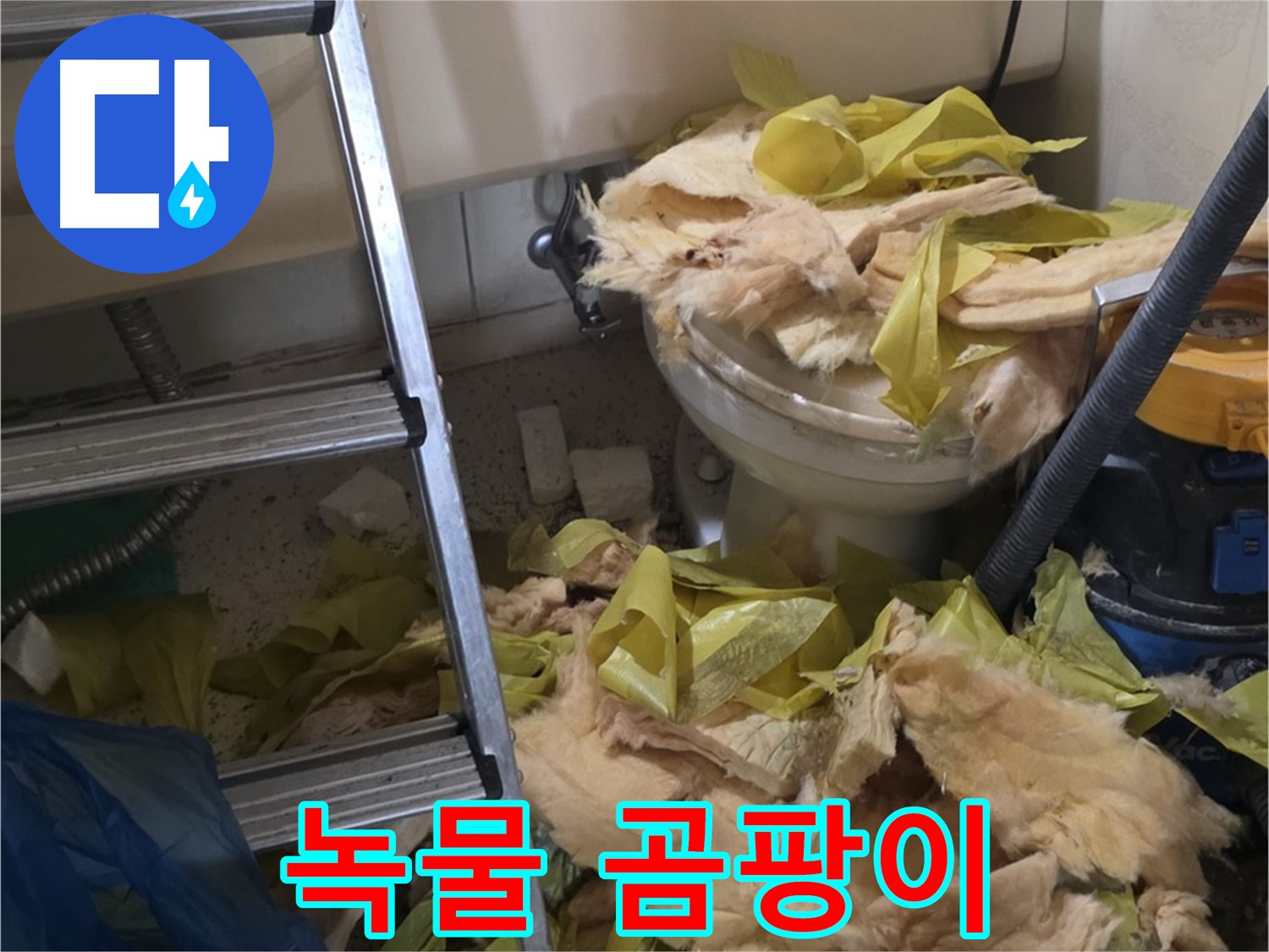 은평구 누수 현장 - 녹물과 곰팡이로 오염된 배관 - 수질 오염 심각