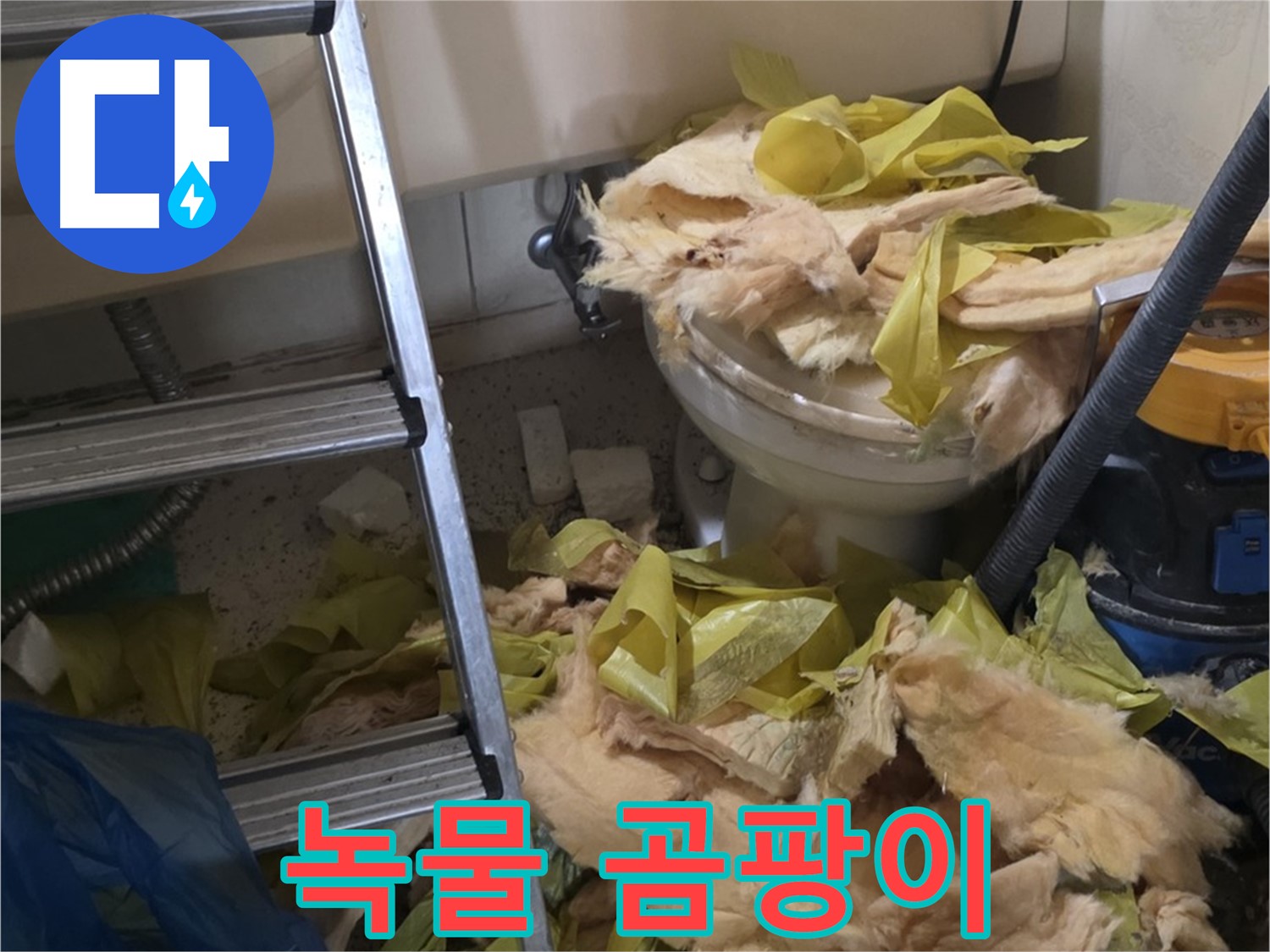 은평구 누수 현장 - 녹물과 곰팡이로 오염된 배관 - 수질 오염 심각