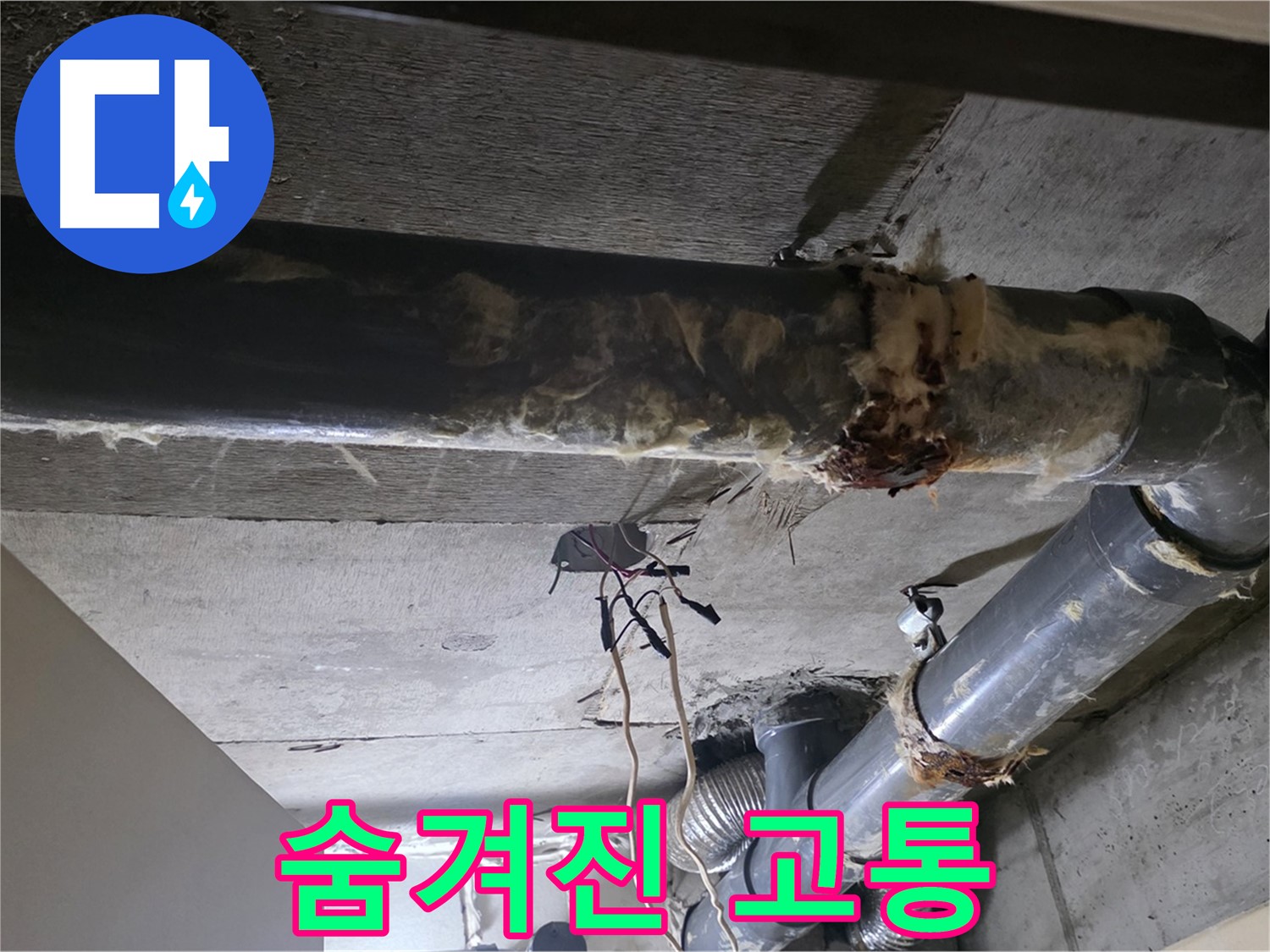은평구 신사동 - 곰팡이 슨 보온재와 젖은 배관, 숨겨진 고통을 드러내다