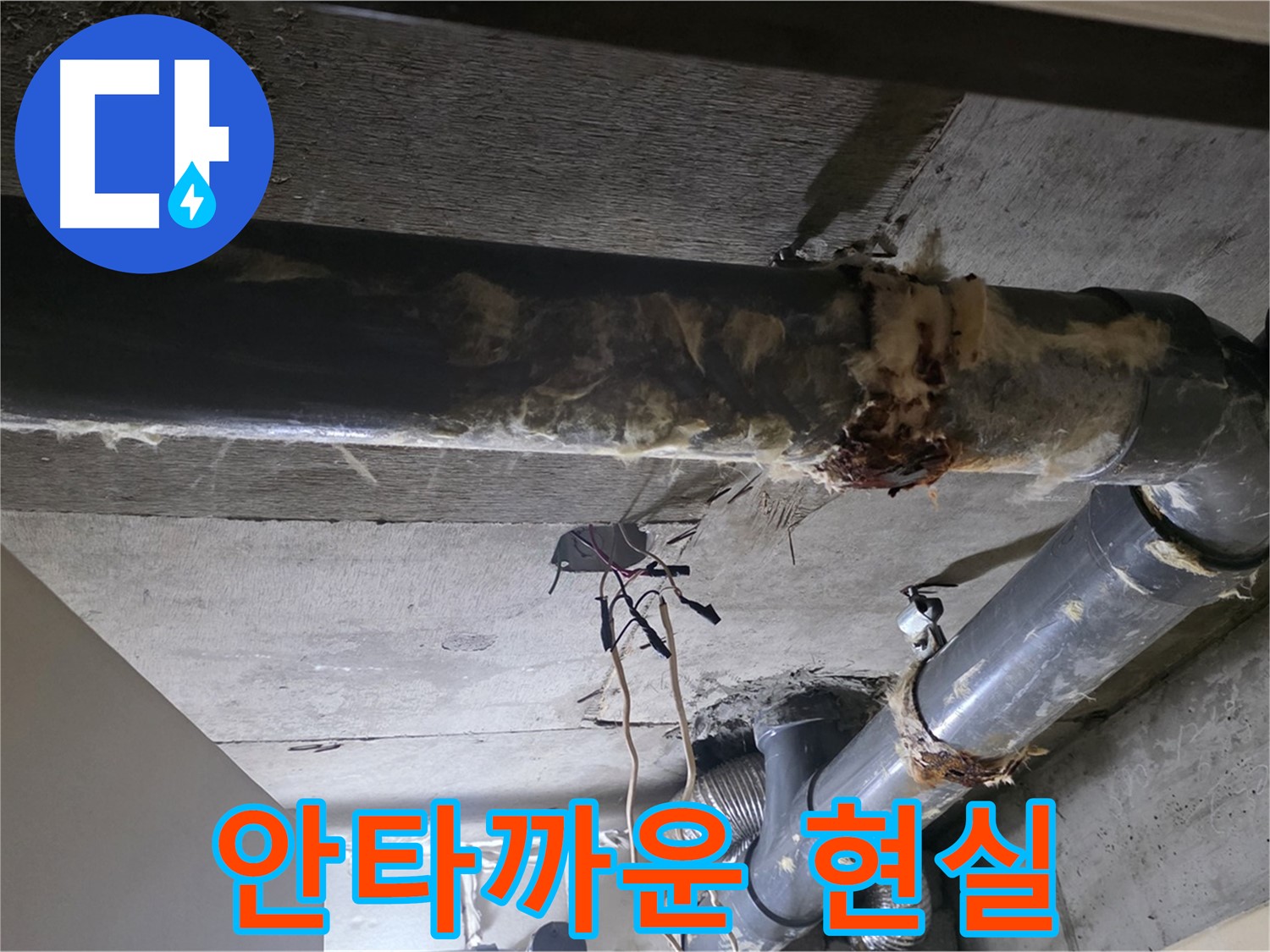 은평구 신사동 - 곰팡이 슨 보온재와 축축한 배관, 안타까운 현실을 마주하다