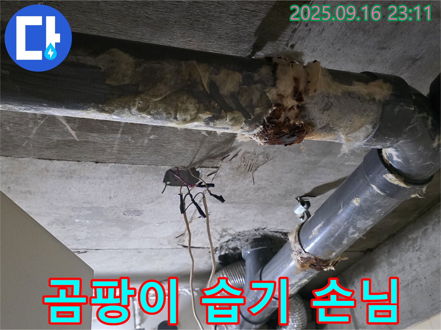 은평구 신사동 새절역 현대아파트 누수 - 곰팡이는 습한 환경의 불쾌한 손님과 같습니다.