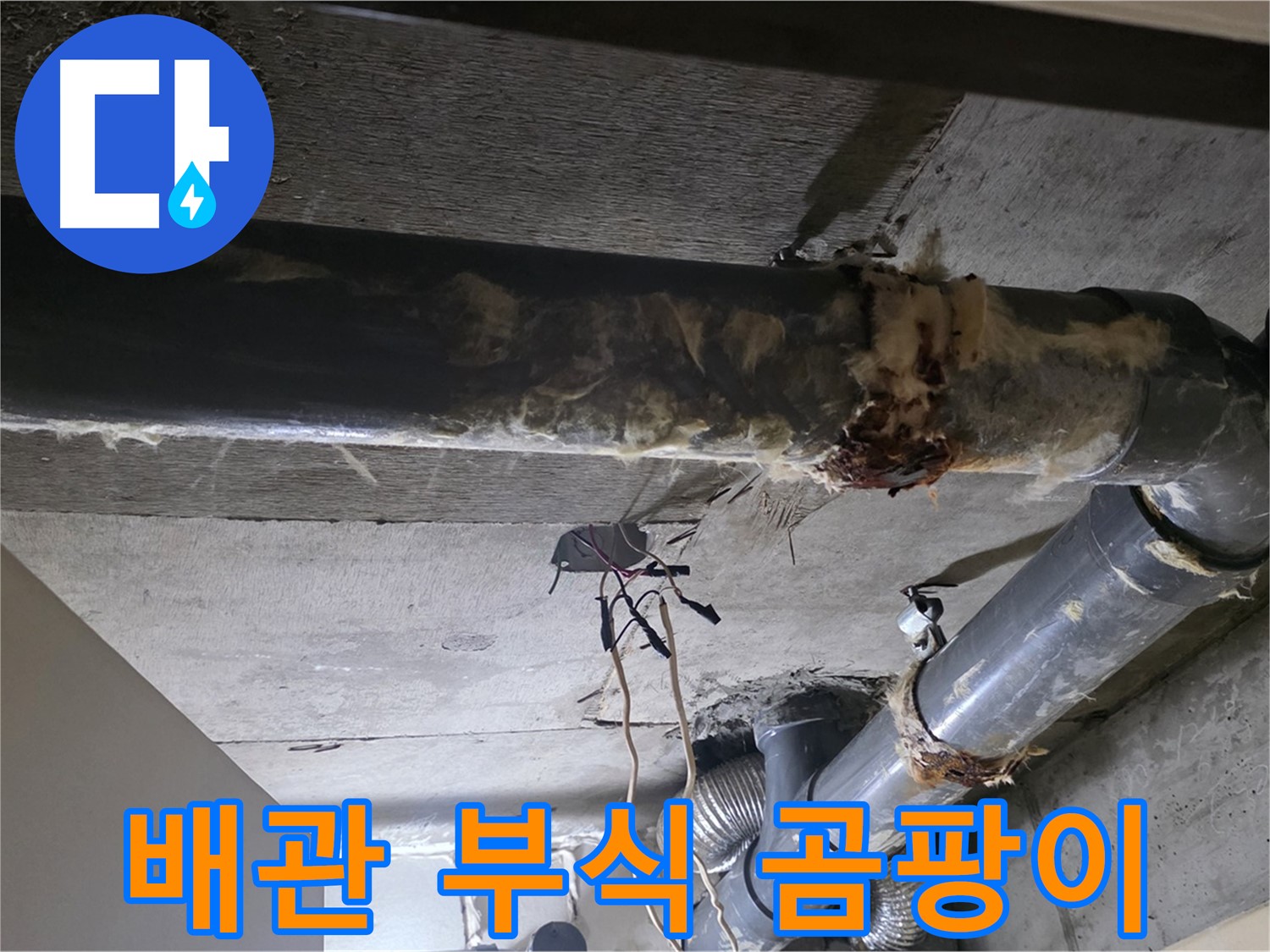 은평구 신사동 - 하수 배관 부식과 곰팡이 슨 보온재의 흔적