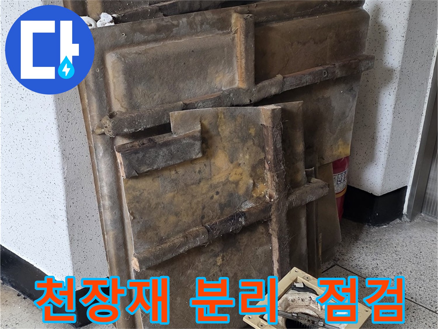 천장재 꼼꼼 분리 후 누수 점검 시작