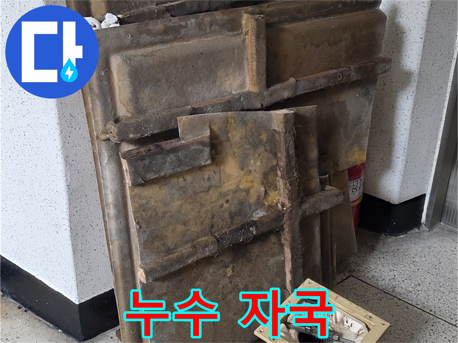 폐기될 석고보드 - 누수 자국과 곰팡이 콜라보