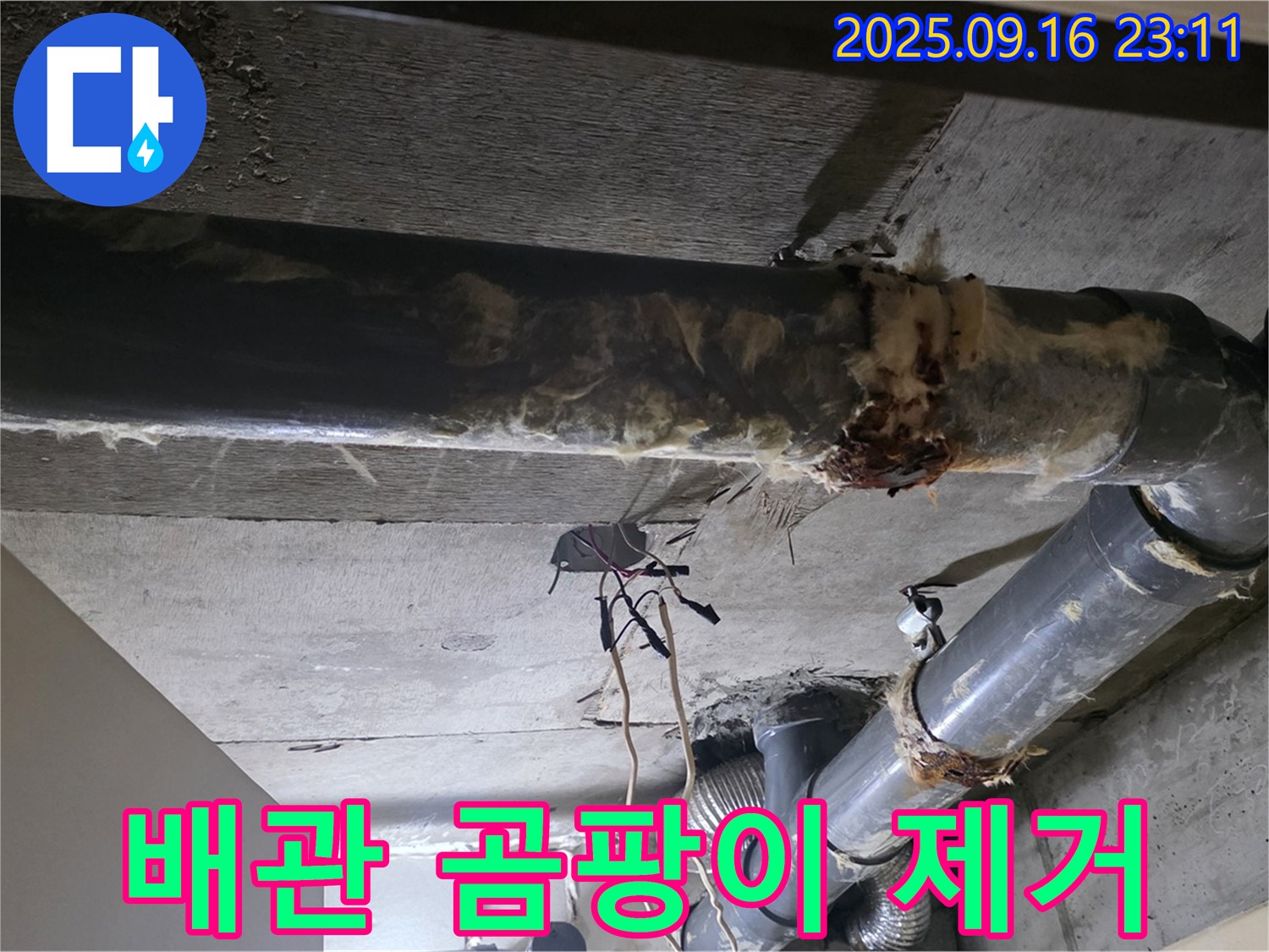 하수 배관의 곰팡이를 제거하여 - 더욱 깨끗하고 위생적인 환경을 만들었습니다.