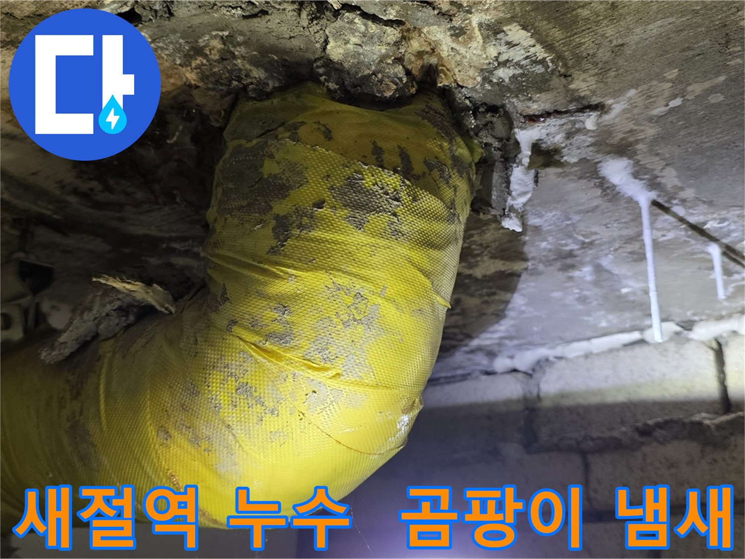 곰팡이 냄새 진동 - 새절역 천장 누수 해결
