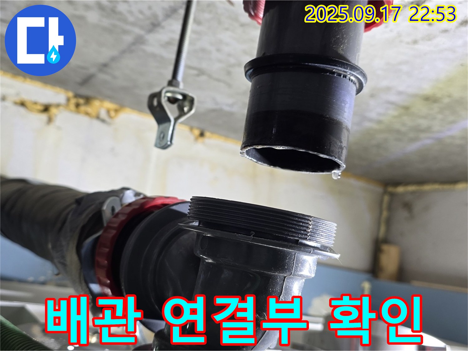 싱크대 배수구 배관 연결부 확인 - 누수 발생 가능성이 높은 배관 연결 부위를 집중적으로 확인하고 있습니다.