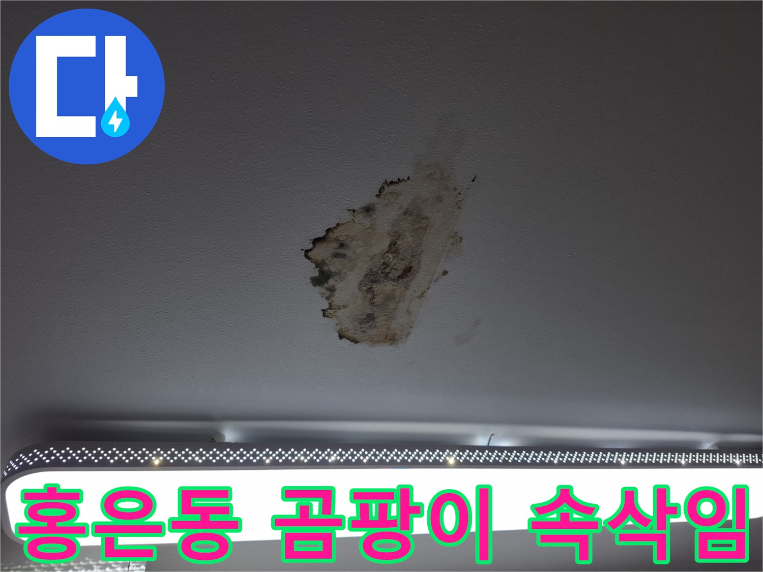 곰팡이 천장 - 괴로운 속삭임입니다