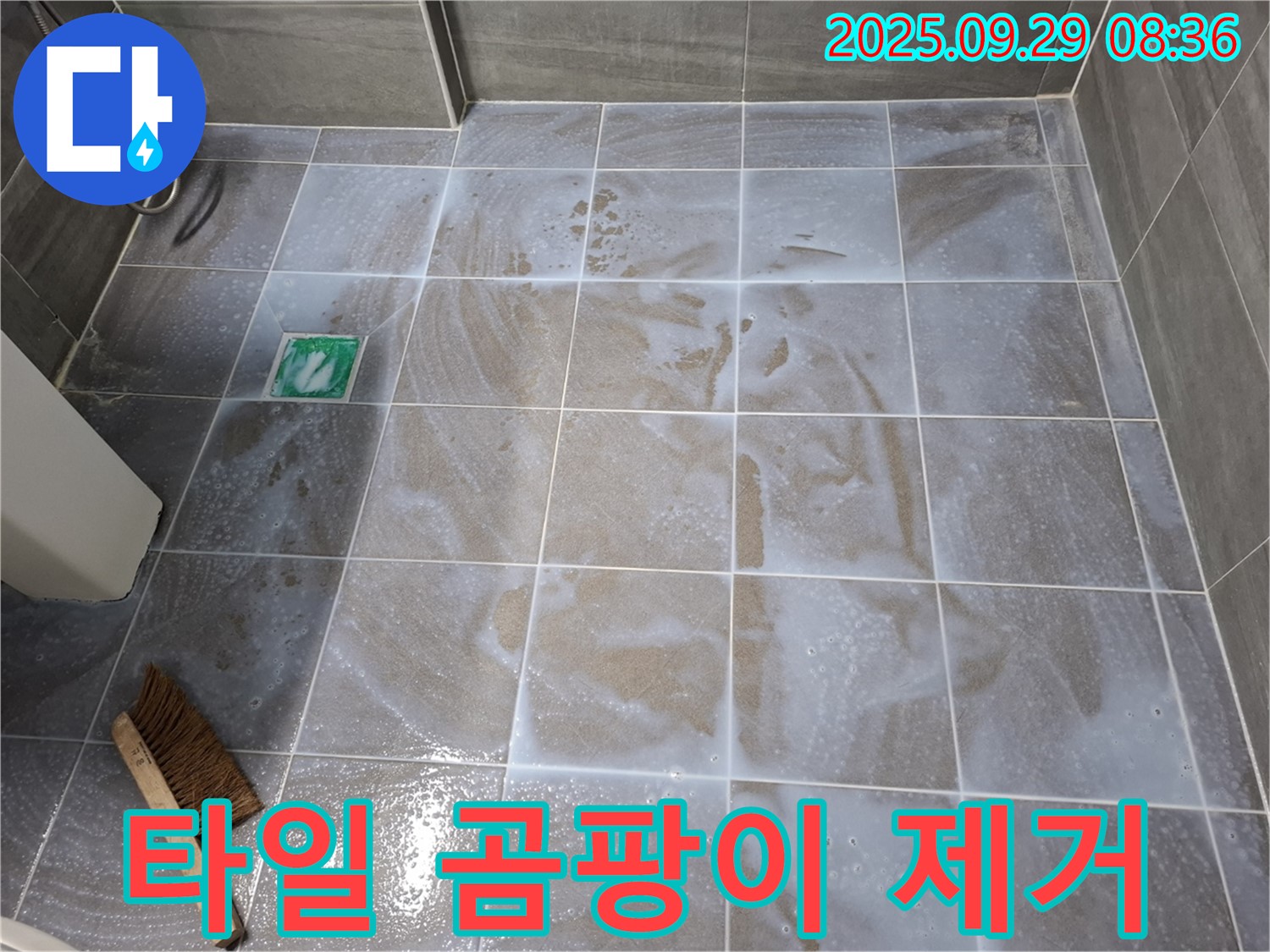 타일 사이 - 곰팡이 제거로 깨끗한 욕실 만들기