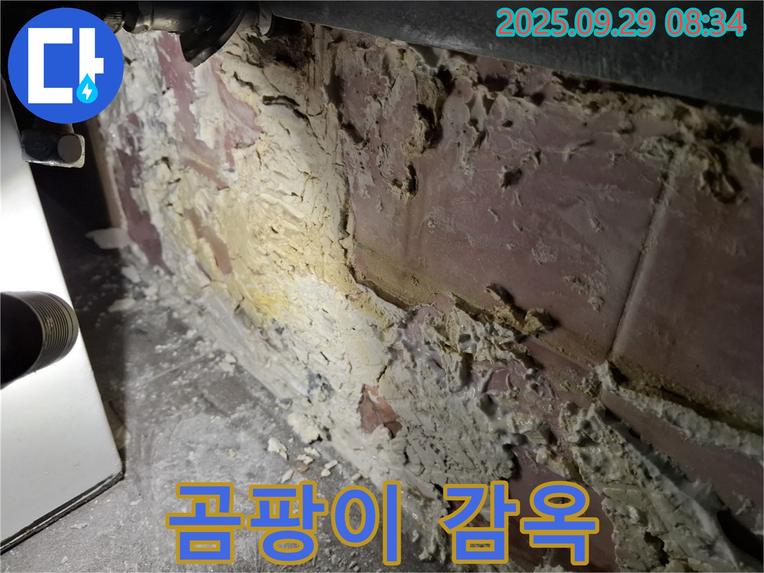 홍은빌라 곰팡이 감옥 - 누수로 인해 벽 속에 갇힌 곰팡이의 모습입니다.