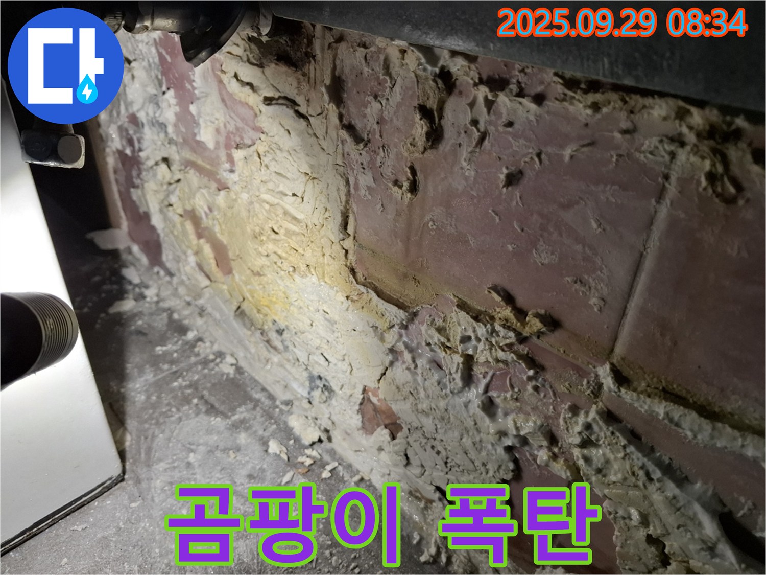 홍은빌라 곰팡이 폭탄 - 벽에 곰팡이가 심하게 번식하여 곰팡이 포자가 날리는 모습입니다.