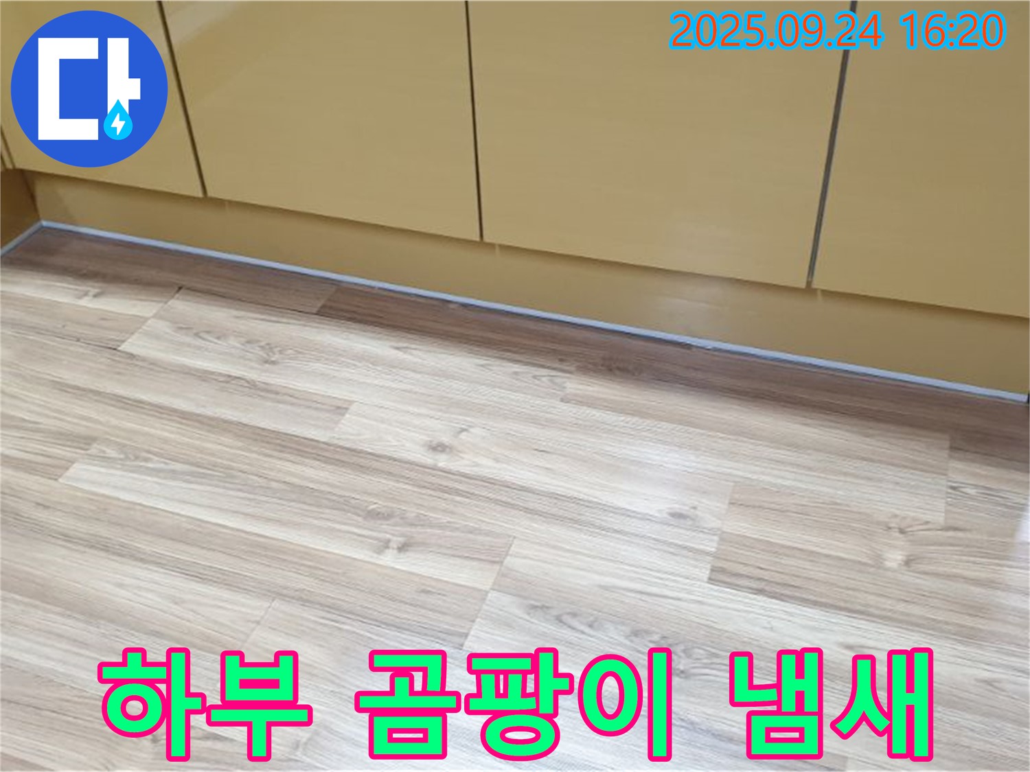 노원구 월계3동 싱크대 하부 곰팡이 냄새 - 누수와 곰팡이 냄새는 관련이 있을 수 있으니, 전문가에게 문의하세요.