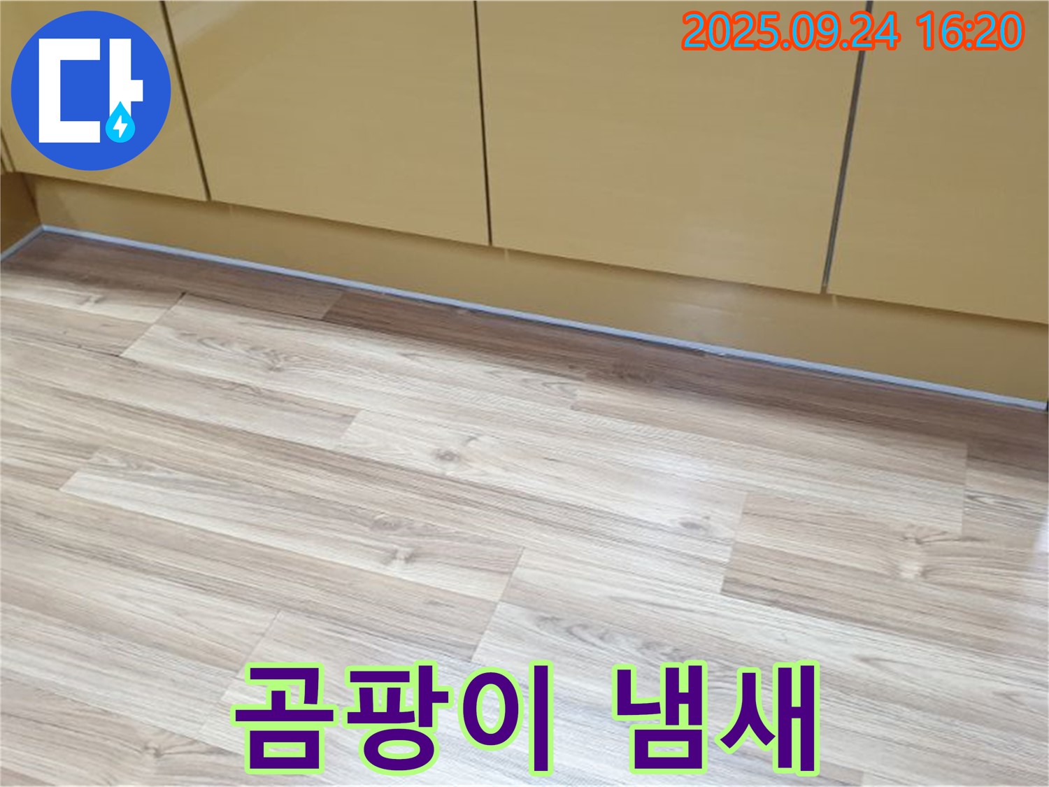 노원구 월계동 싱크대 주변 곰팡이 냄새 - 누수와 곰팡이 냄새는 관련이 있을 수 있으니, 전문가에게 문의하세요.